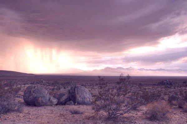 Начался дождь!