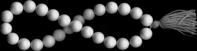 Гидры тоже видят сны