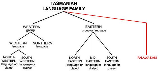 Одна из возможных классификаций языков Тасмании