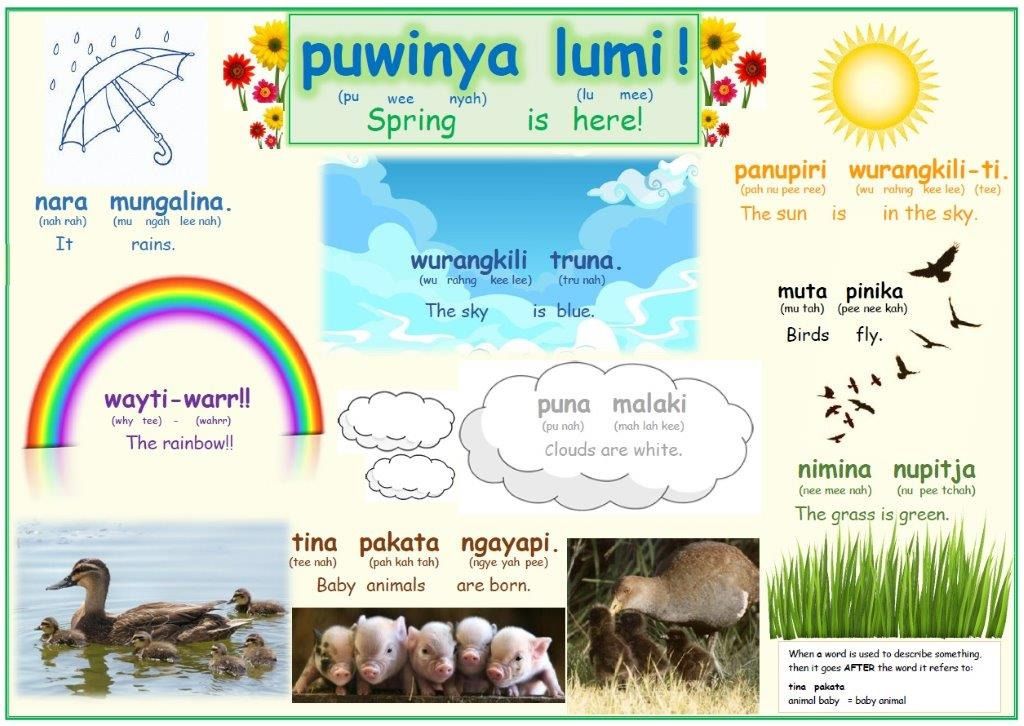 плакат со словами палава кани